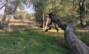 Venta de lotes en Fraccionamiento cerrado en San Pablo Apetatitlán, Tlaxcala