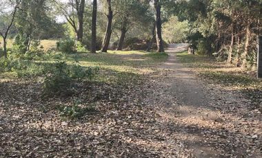 Venta de lotes en Fraccionamiento cerrado en San Pablo Apetatitlán, Tlaxcala