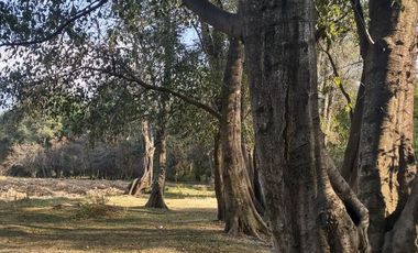 Venta de lotes en Fraccionamiento cerrado en San Pablo Apetatitlán, Tlaxcala