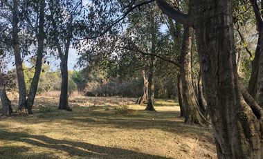 Venta de lotes en Fraccionamiento cerrado en San Pablo Apetatitlán, Tlaxcala