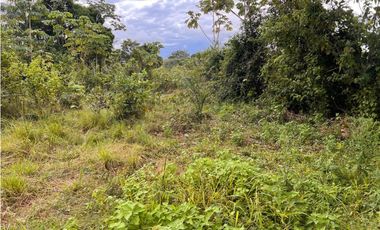 Terreno económico a la venta