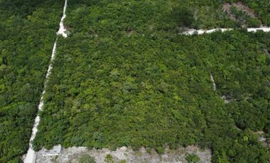 Terreno en Fraccionamiento Santa Ana Cancún