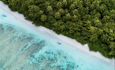 DEPARTAMENTO EN VENTA EN MAHAHUAL 2 HABITACIONES ALBERCA YOGA SPA BITCOIN