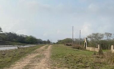 Terreno en Venta y Renta en Carretera Tampico-Tuxpan, Pueblo Viejo Veracruz.