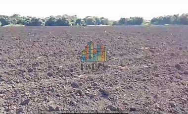 RANCHO EN VENTA CON FRENTE DR RIO DE 100 HAS.