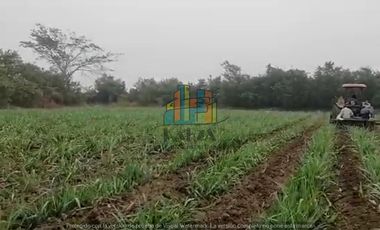 RANCHO EN VENTA CON FRENTE DR RIO DE 100 HAS.