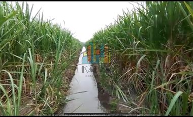 RANCHO EN VENTA CON FRENTE DR RIO DE 100 HAS.