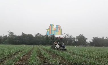 RANCHO EN VENTA CON FRENTE DR RIO DE 100 HAS.