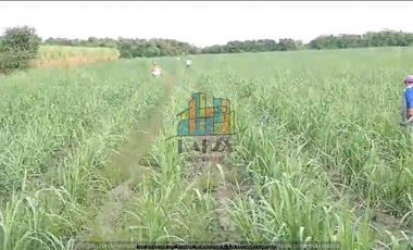 RANCHO EN VENTA CON FRENTE DR RIO DE 100 HAS.