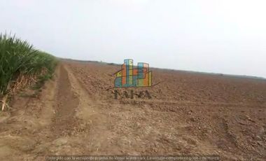 RANCHO EN VENTA CON FRENTE DR RIO DE 100 HAS.