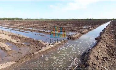 RANCHO EN VENTA CON FRENTE DR RIO DE 100 HAS.