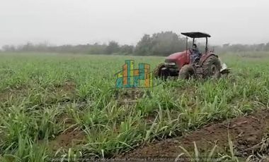 RANCHO EN VENTA CON FRENTE DR RIO DE 100 HAS.