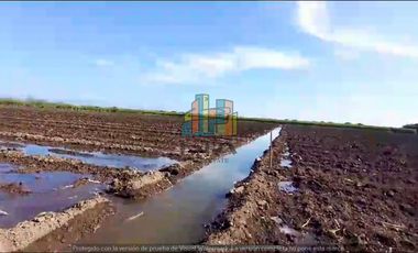 RANCHO EN VENTA CON FRENTE DR RIO DE 100 HAS.