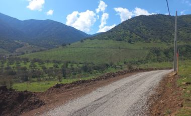 PARCELAS CON CRÉDITO DIRECTO EN REQUÍNOA PROYECTO PIMPINELA