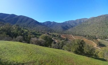 PARCELAS CON CRÉDITO DIRECTO EN REQUÍNOA PROYECTO PIMPINELA