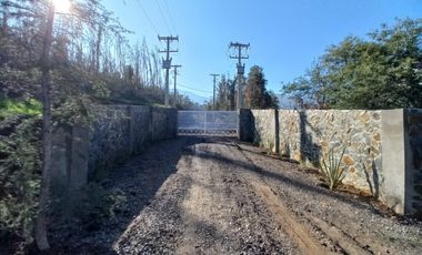 PARCELAS CON CRÉDITO DIRECTO EN REQUÍNOA PROYECTO PIMPINELA