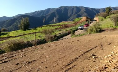 PARCELAS CON CRÉDITO DIRECTO EN REQUÍNOA PROYECTO PIMPINELA