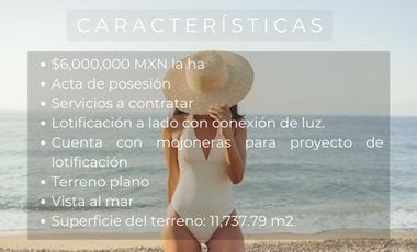 En venta Hectárea lotificada en Playa Palmarito, Puerto Escondido, Oaxaca