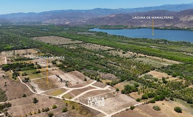 En venta Hectárea lotificada en Playa Palmarito, Puerto Escondido, Oaxaca