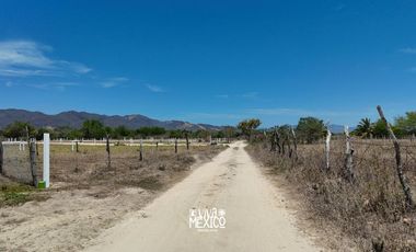 En venta Hectárea lotificada en Playa Palmarito, Puerto Escondido, Oaxaca