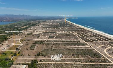 En venta Hectárea lotificada en Playa Palmarito, Puerto Escondido, Oaxaca