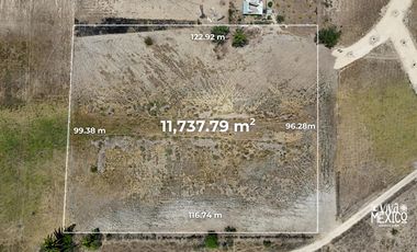 En venta Hectárea lotificada en Playa Palmarito, Puerto Escondido, Oaxaca