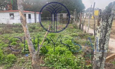 Terreno - Los Mangos