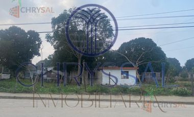 Terreno - Los Mangos