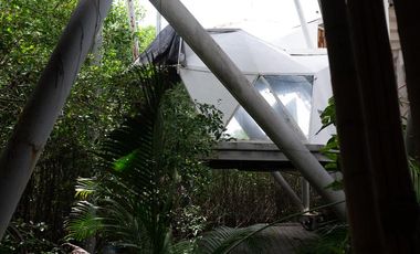 HOTEL EN VENTA/ TULUM/ ZONA HOTELERA/SEGUNDA LINEA DE PLAYA/ ROI ASEGURADO.