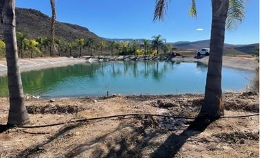 Terreno para siembra en Jalpa, Zacatecas.