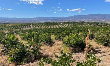 Terreno para siembra en Jalpa, Zacatecas.