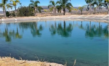 Terreno para siembra en Jalpa, Zacatecas.