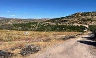 Terreno para siembra en Jalpa, Zacatecas.