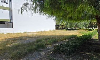 Terreno - Tamarindos