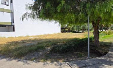 Terreno - Tamarindos