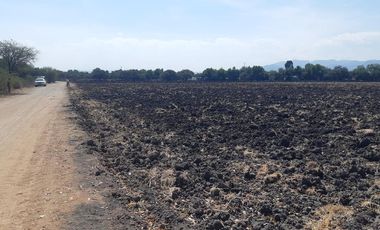 VENTA | Terreno 5 ha. con riego por goteo | titulo de propiedad