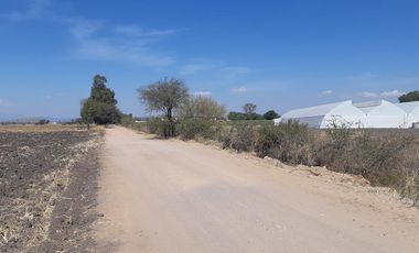 VENTA | Terreno 5 ha. con riego por goteo | titulo de propiedad