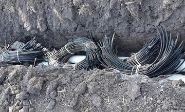 VENTA | Terreno 5 ha. con riego por goteo | titulo de propiedad