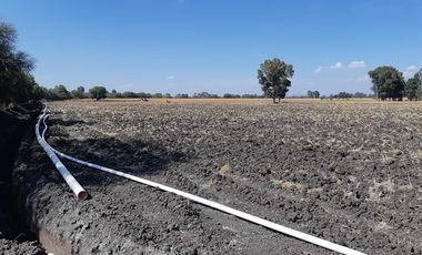 VENTA | Terreno 5 ha. con riego por goteo | titulo de propiedad