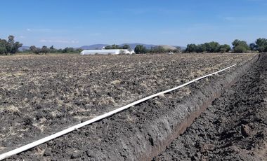 VENTA | Terreno 5 ha. con riego por goteo | titulo de propiedad