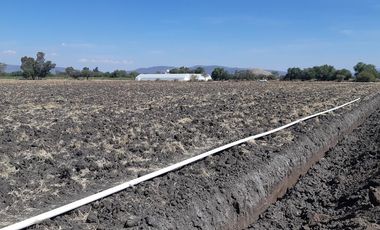 VENTA | Terreno 5 ha. con riego por goteo | titulo de propiedad