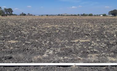 VENTA | Terreno 5 ha. con riego por goteo | titulo de propiedad