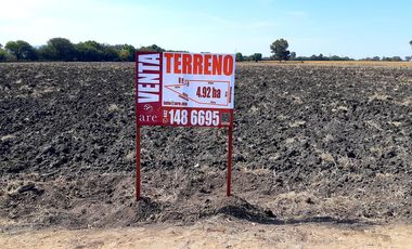 VENTA | Terreno 5 ha. con riego por goteo | titulo de propiedad