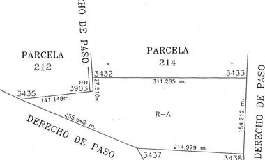 VENTA | Terreno 5 ha. con riego por goteo | titulo de propiedad