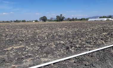 VENTA | Terreno 5 ha. con riego por goteo | titulo de propiedad