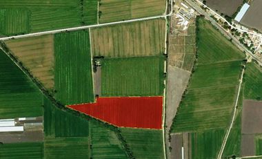 VENTA | Terreno 5 ha. con riego por goteo | titulo de propiedad