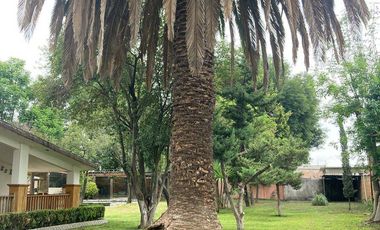 Rancho en Teoloyucan F