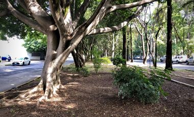 Espectacular departamento con vista al parque, 3 recámaras, 3.5 baños, 3 autos, alberca y gimnasio