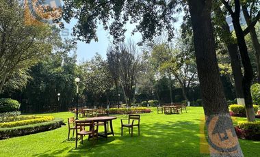 Bonito departamento en renta  Monte Kamerum, Lomas de Chapultepec