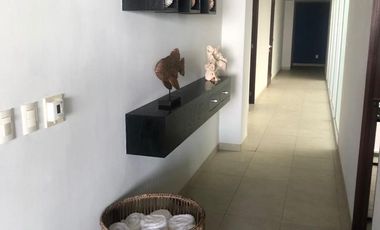 Departamento/ Areina Diamante. (renta)